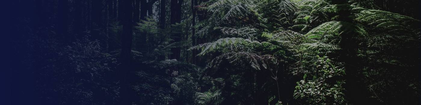 Homepage Carbon Neutral Commercial Kitchen Equipment