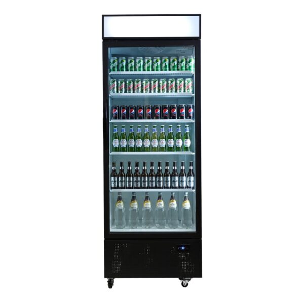 Bromic GM0690LB 659Lt Vertical Display Chiller