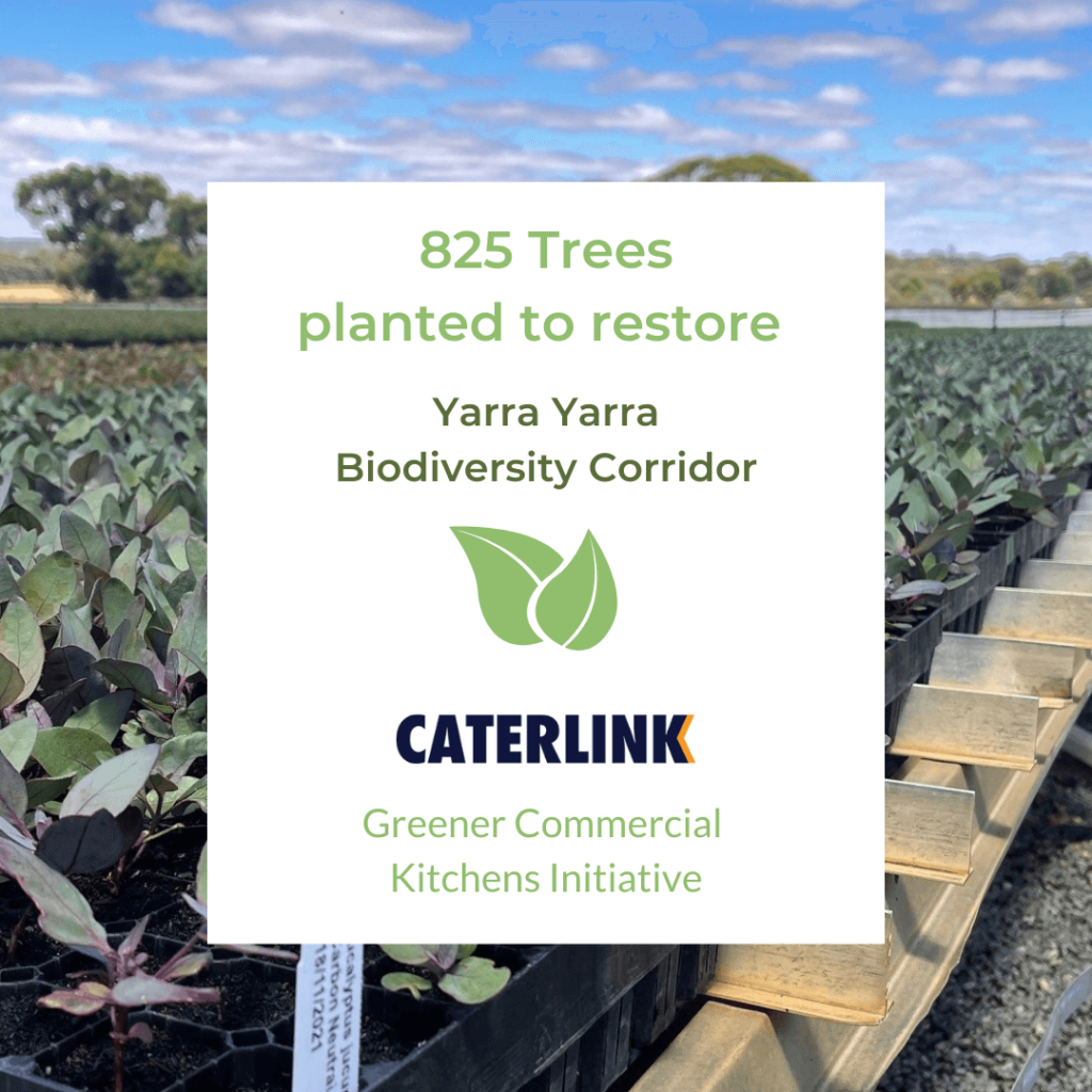 Caterlink Carbon Neutral 1 1