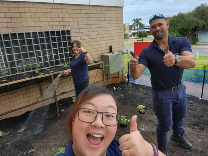 Caterlink veggie garden