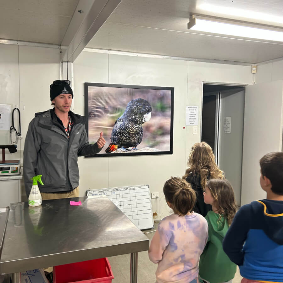 Supporting Black Cockatoo Conservation 6